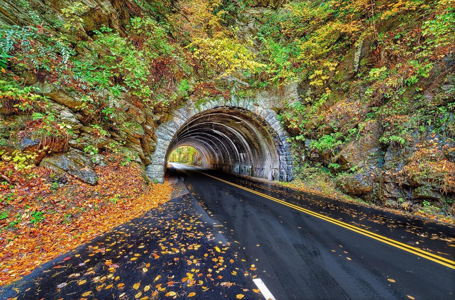 Hidden Memories, Hot Tub, 1089 Of Free Attraction Tickets For Each Paid Day, Dollywood And More Gatlinburg Bagian luar foto